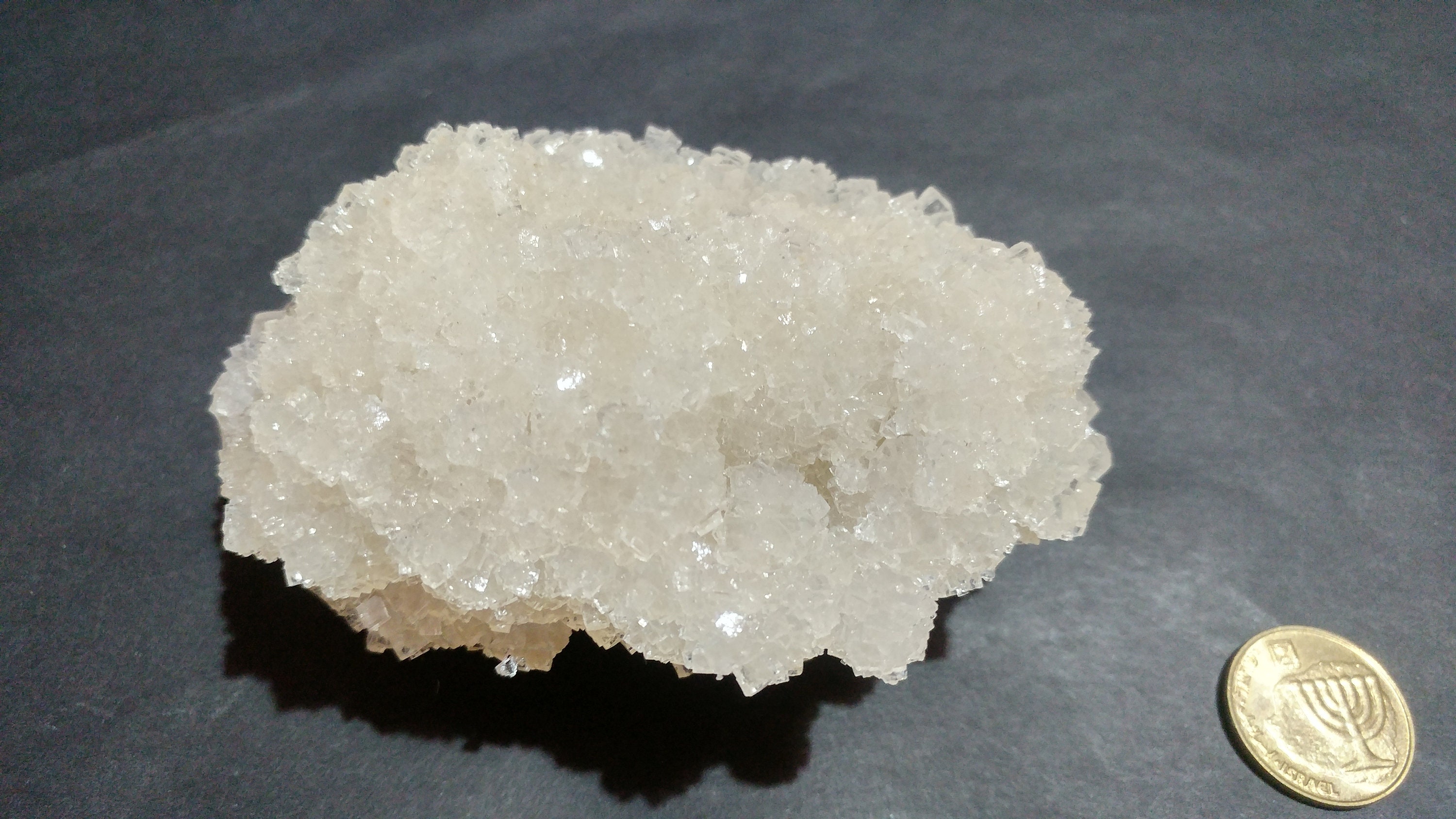 Dead Sea Salt Natural Rock for Your Collection or Bath Therapy Etsy