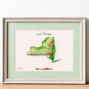 New York Reliefkarte