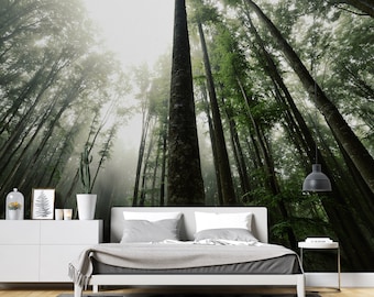 Forest Scene Wallpaper | Peel and Stick Tree Wall Mural