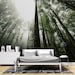 see more listings in the Forest Wallpaper Murals section
