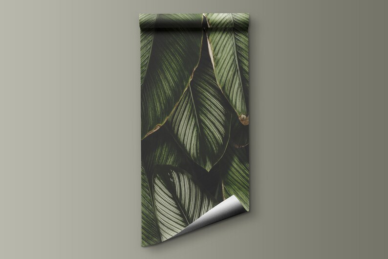 May include: A roll of wallpaper featuring a dense, overlapping pattern of large, dark green tropical leaves with prominent white veins. The design displays a deep color palette with shadows and highlights, and the bottom right corner is curled upward.