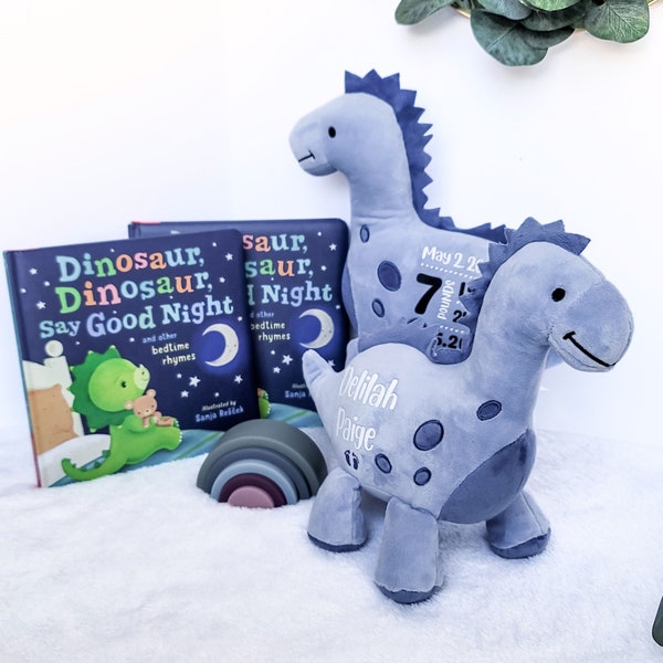 Custom Birth Stats Dinosaur Plush Toy Baby Keepsake with Name Newborn Gift Custom Plush Baby Announcement Baby Boy Dino Birth Stats Plushy