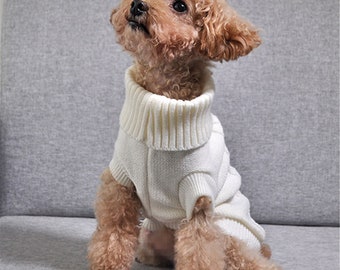 dog black turtleneck