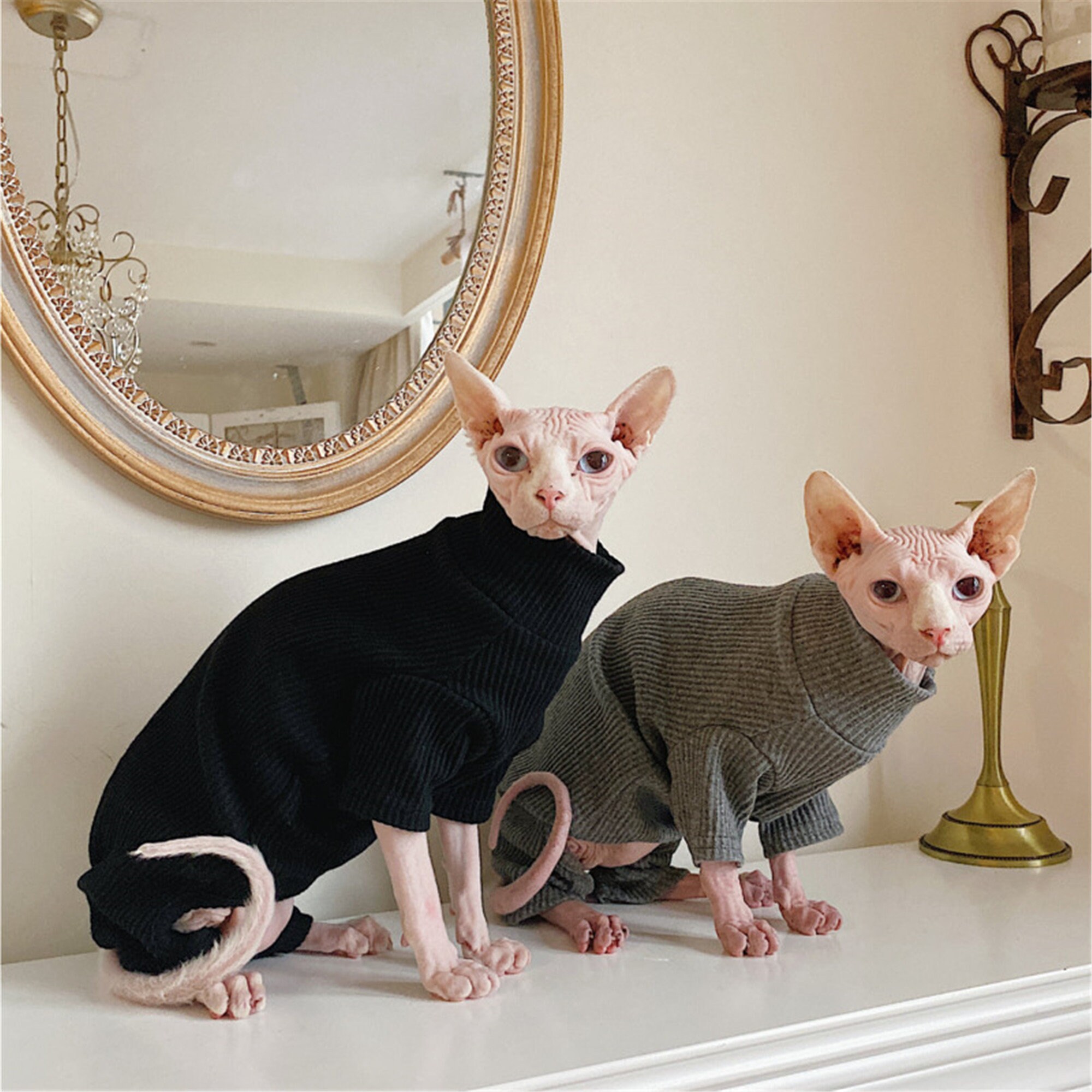 Hairless Cat Clothing Cat Clothes Winter Thick Cotton Etsy