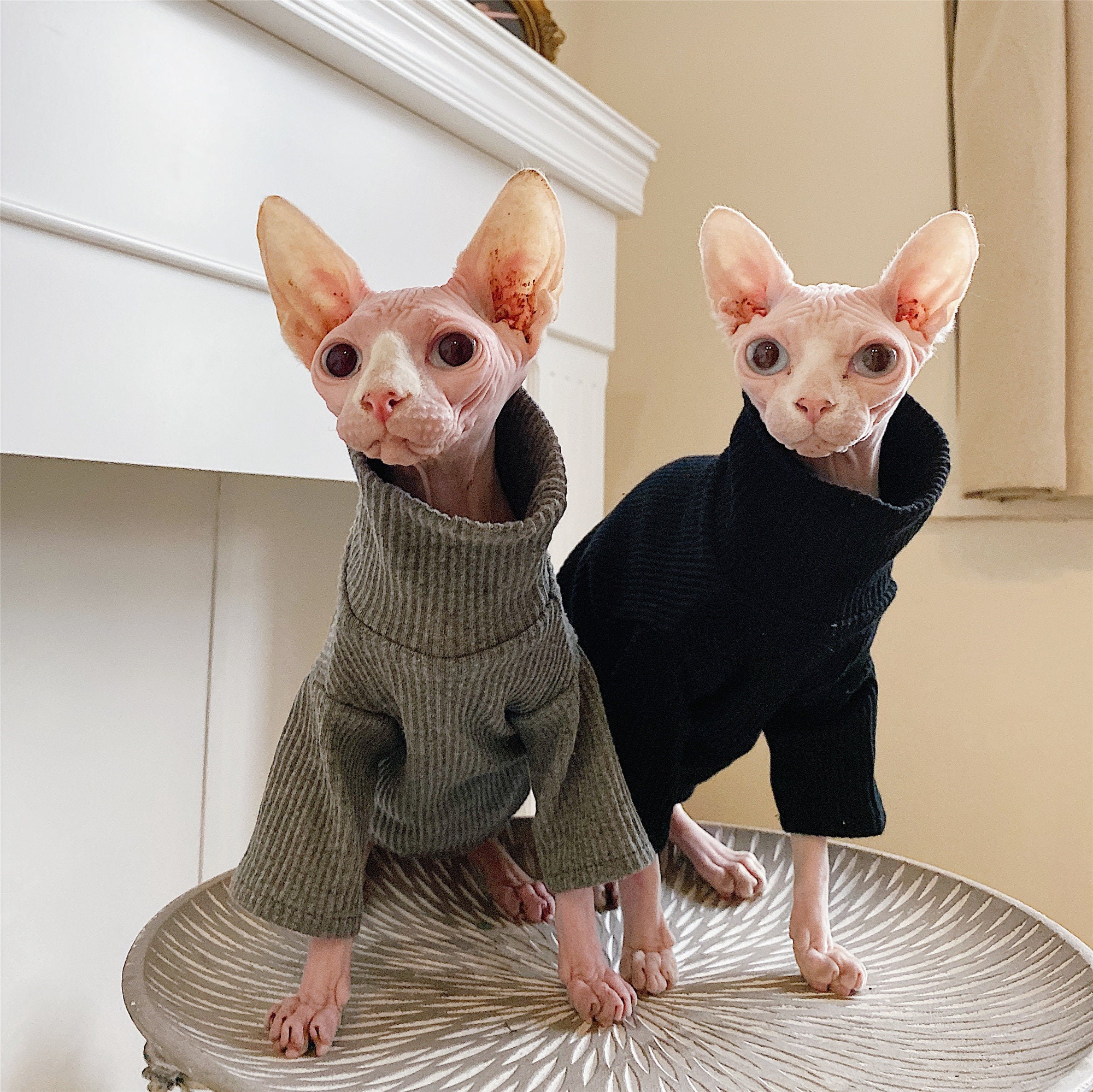 Hairless Cat Clothing Cat Clothes Winter Thick Cotton Etsy