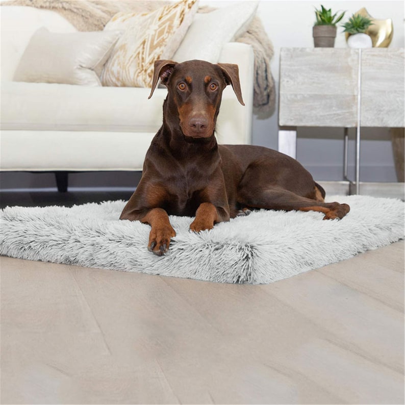 Large Dog Bed Mat Memory Foam Breathable Dog Beds Oxford Bottom Orthopedic Pet bed For Small Medium Large Pet Supplies