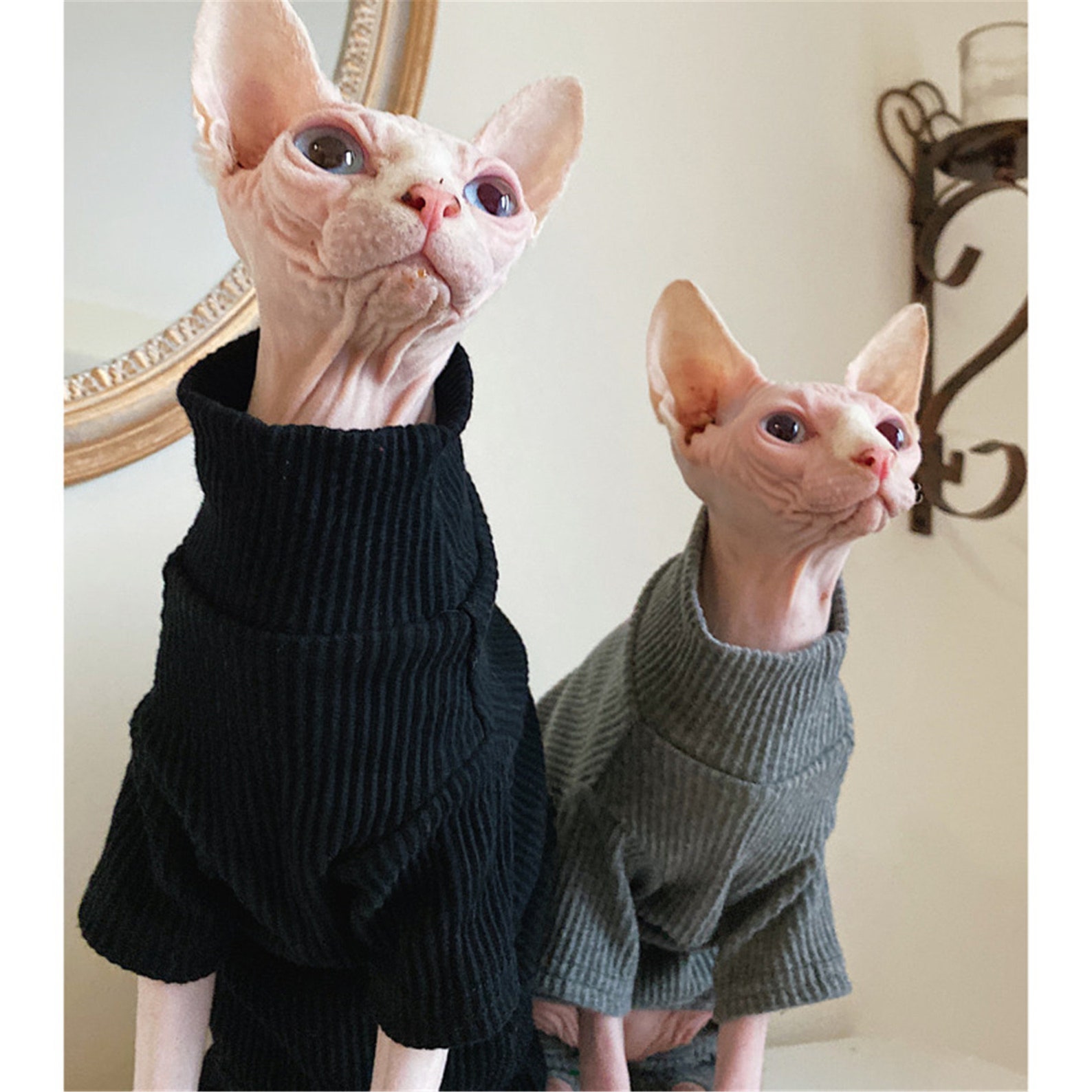 Hairless Cat Clothing Cat Clothes Winter Thick Cotton Etsy