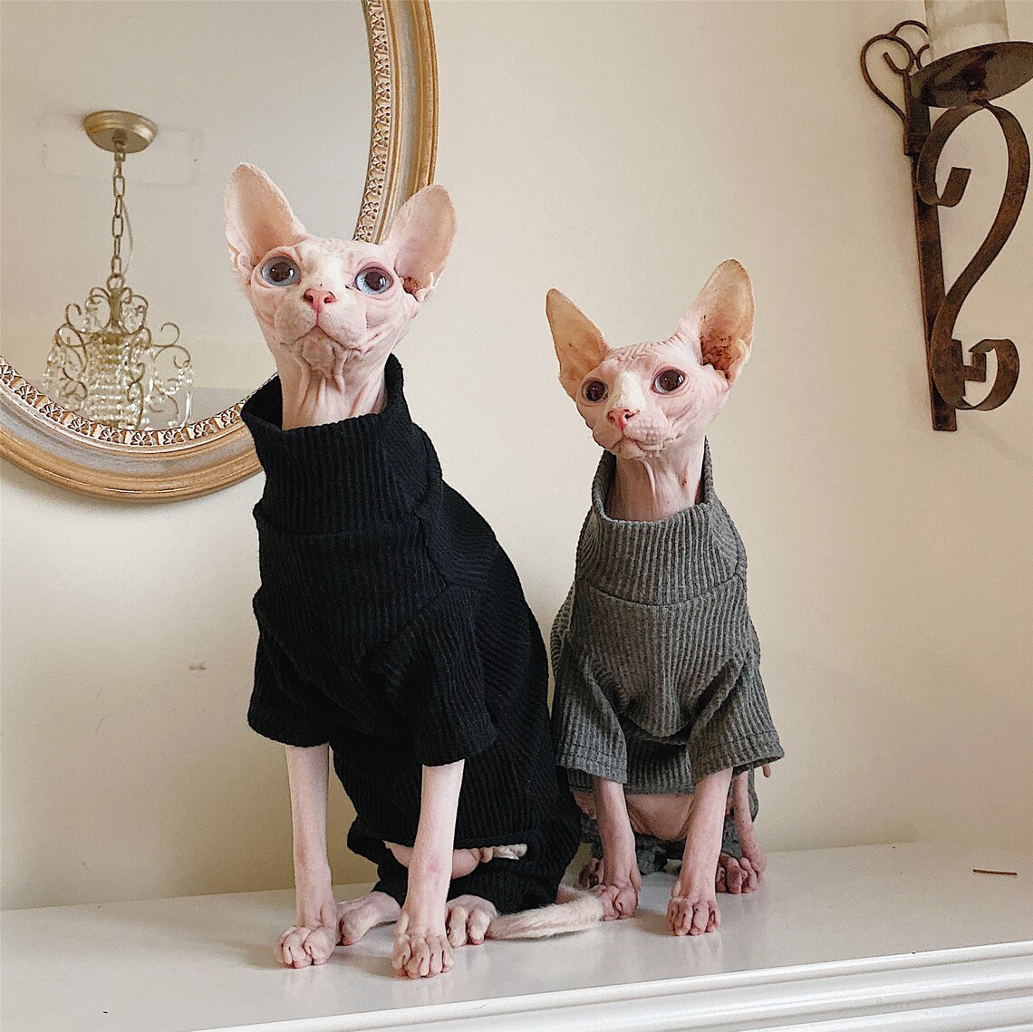Hairless Cat Clothing Cat Clothes Winter Thick Cotton Etsy