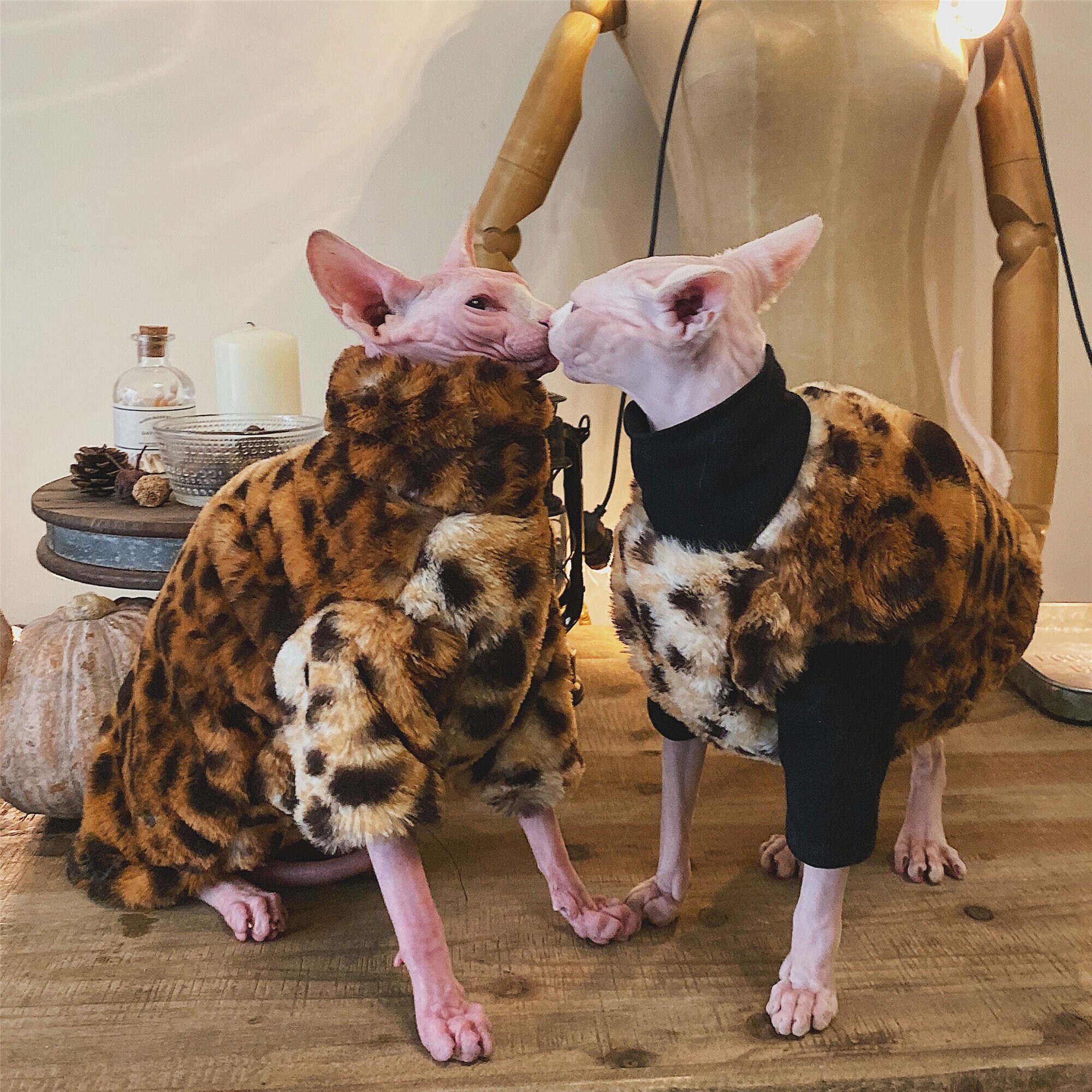 Hairless Cat Clothes Clothing Vest Winter Warm Mink Leopard Etsy