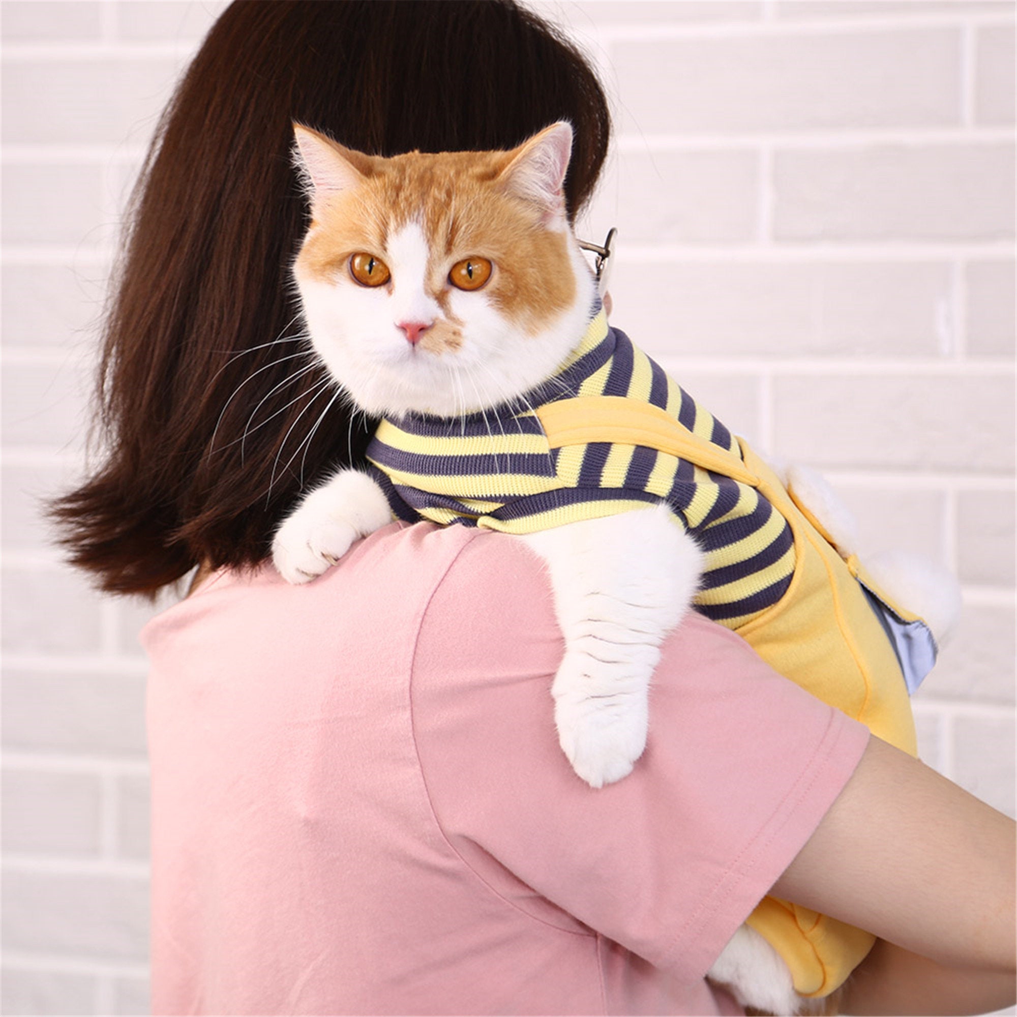 Pet Cat Clothes Fashion Striped Pet Dog Clothes for Dogs Cats Etsy