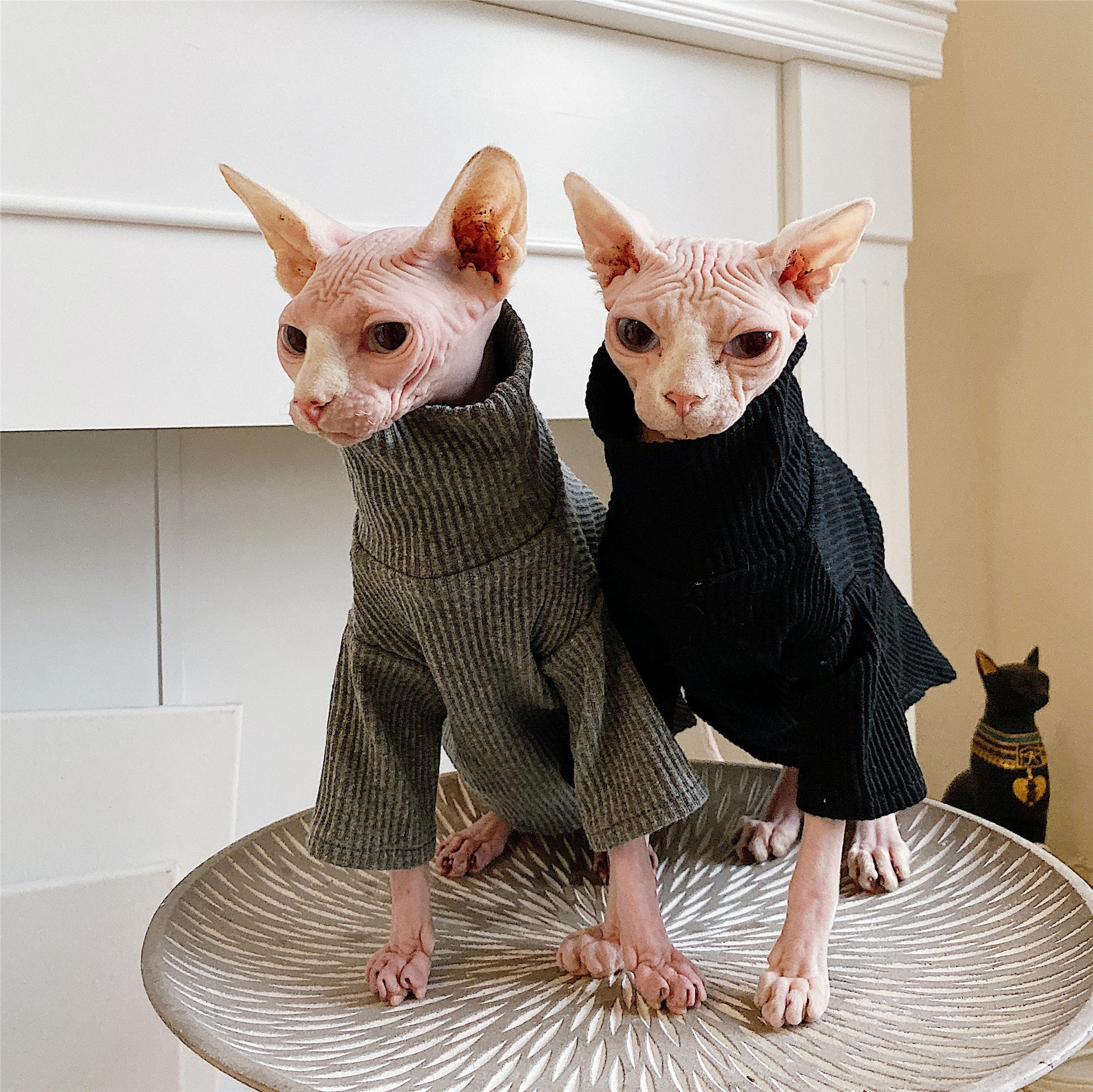 Hairless Cat Clothing Cat Clothes Winter Thick Cotton Etsy