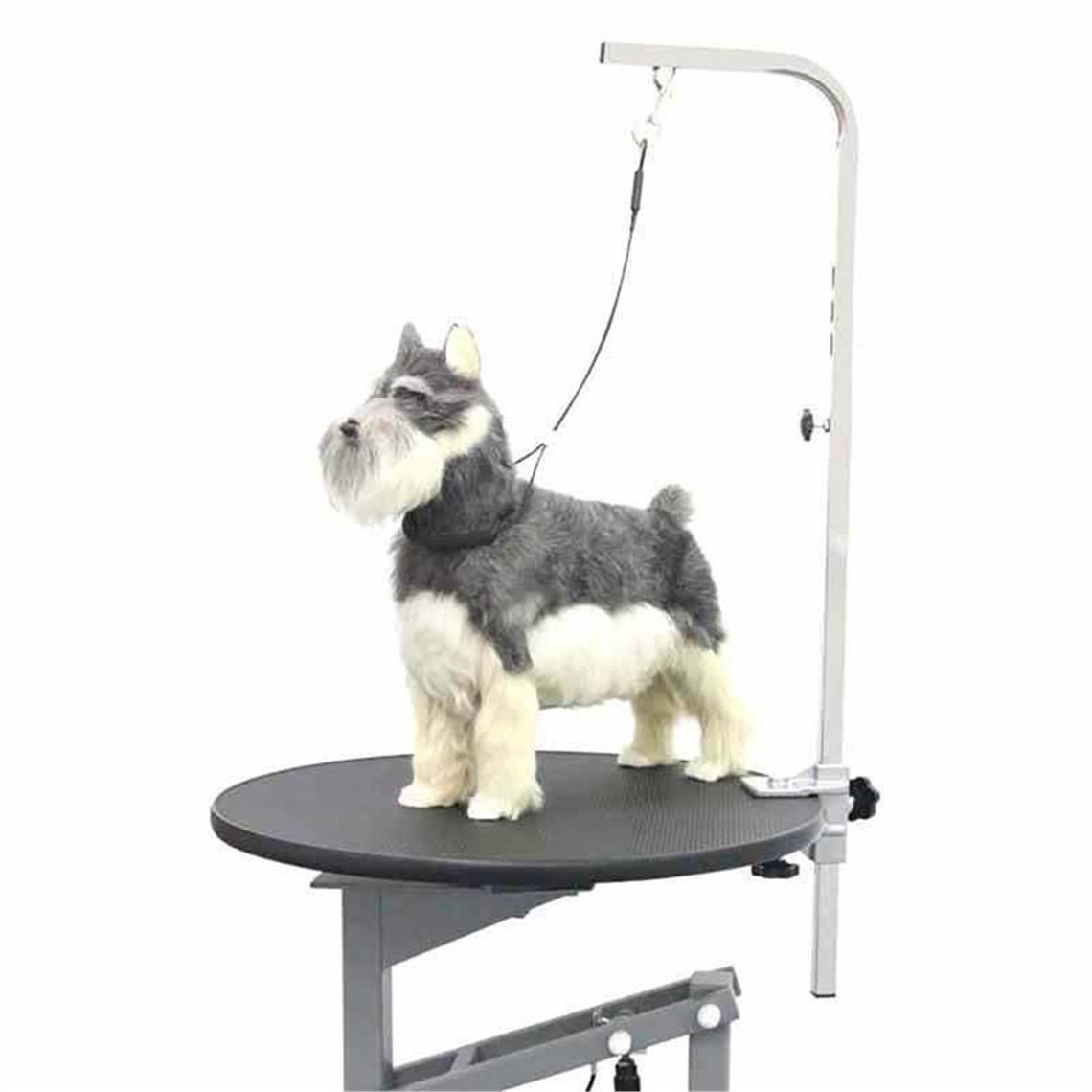 Pet Grooming Shower Bath Accessories Gentle Fasten Dog Etsy