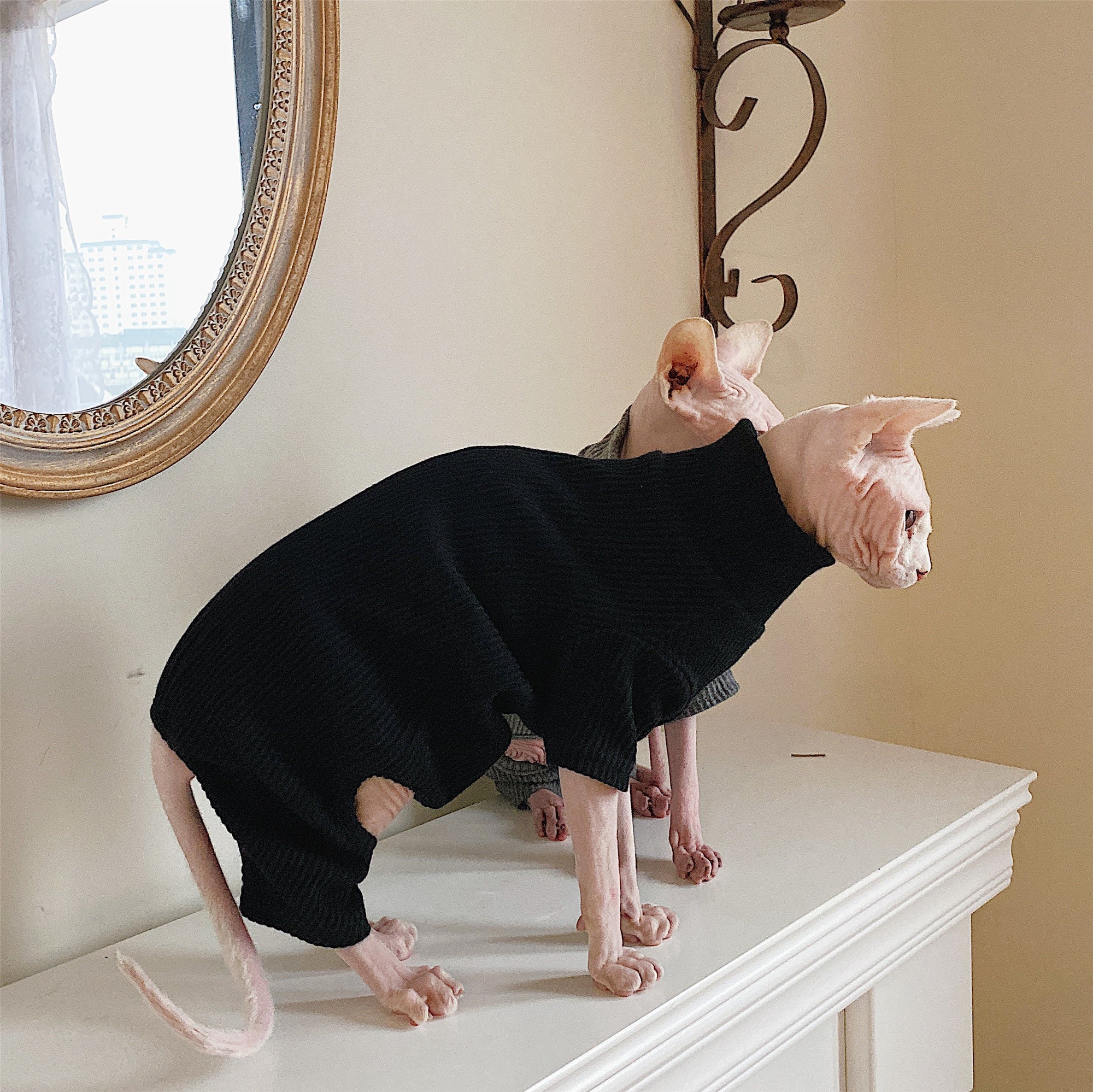 Hairless Cat Clothing Cat Clothes Winter Thick Cotton Etsy