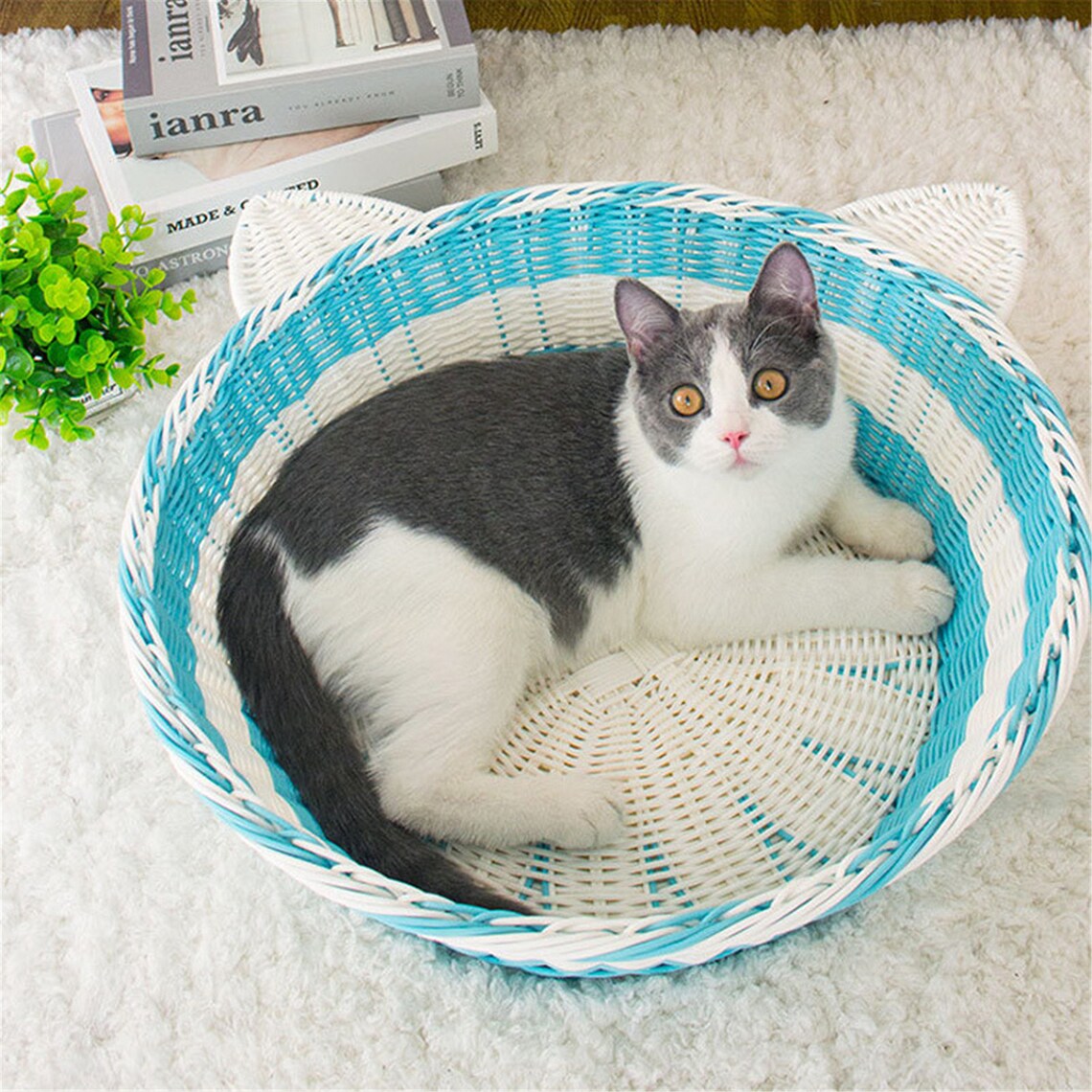 Handcrafted Rattan Wicker Cat Bed Couch Summer Cool Rope Round Etsy