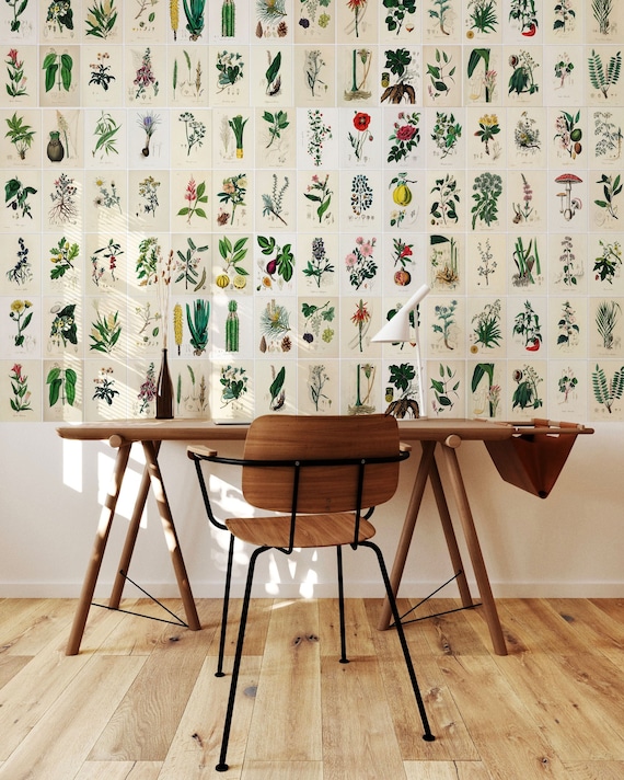 100 Printable Botanical ILLUSTRATIONS Wall Collage Kit, Vintage Botanical Study Illustrations, Wall Art Digital Prints INSTANT DOWNLOAD