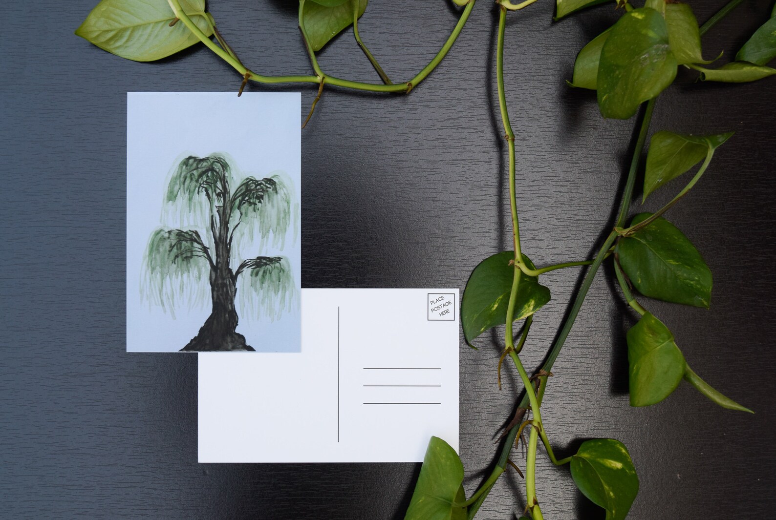 Postcard Print Set Various Landscapes Scenery Nature | Etsy