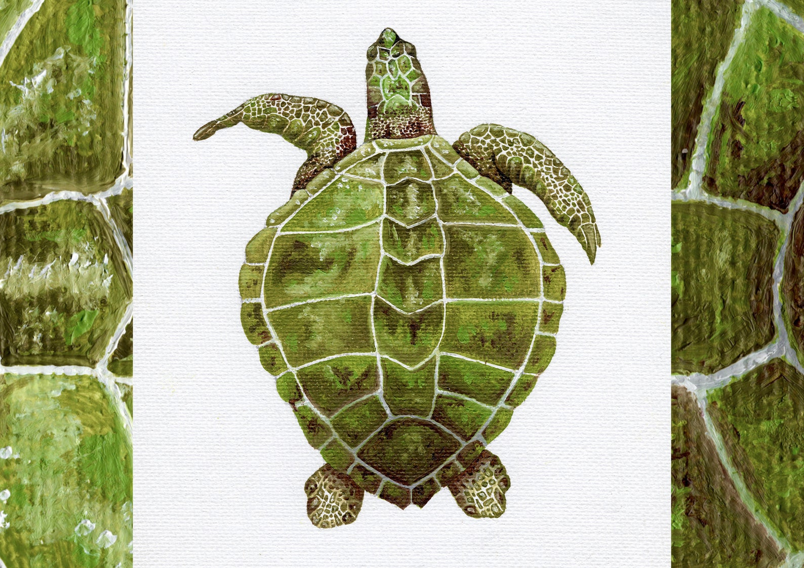Olive Ridley Turtle A4 and A5 Prints Etsy