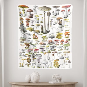 Mushroom Tapestry, Vintage Mushroom, Adolphe Millot, Boho Tapestry, Cottagecore Decor, Nature Tapestry, Mushroom Decor, Dorm Tapestry