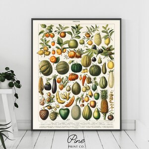 Vintage Fruit Poster, Fruit Print, Fruit Wall Art, Vintage Kitchen Art, Vintage Lithograph, Pineapple Print, Citrus Print, Fruit Decor