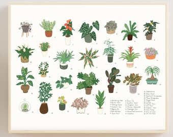 Houseplant Print, Plant Print, Plant Painting, Plant Drawing, Botanical Print, Botanical Drawing, Houseplant Poster, Plant Wall Art