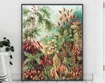 Tropical Painting, Jungle Decor, Tropical Print, Mushroom Print, Mushroom Poster, Vintage Botanical, Botanical Print, Plant Wall Art