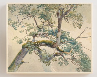 Tree Print, Tree Poster, Vintage Tree, Botanical Print, Nature Wall Art, Tree Painting, Tree Art, Vintage Botanical, Vintage Nature