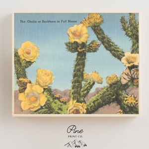 Kaktus Poster, Vintage Natur, Vintage Poster, Kaktus Blumen, Cholla Kaktus, Vintage Botanik, Wüste Poster, Natur Poster, Wüste Print