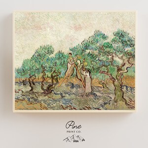 Van Gogh Print, Olive Trees, Van Gogh Painting, Tree Print, Olive Tree Art, Olive Orchard, Beige Wall Art, Fine Art, Vincent Van Gogh