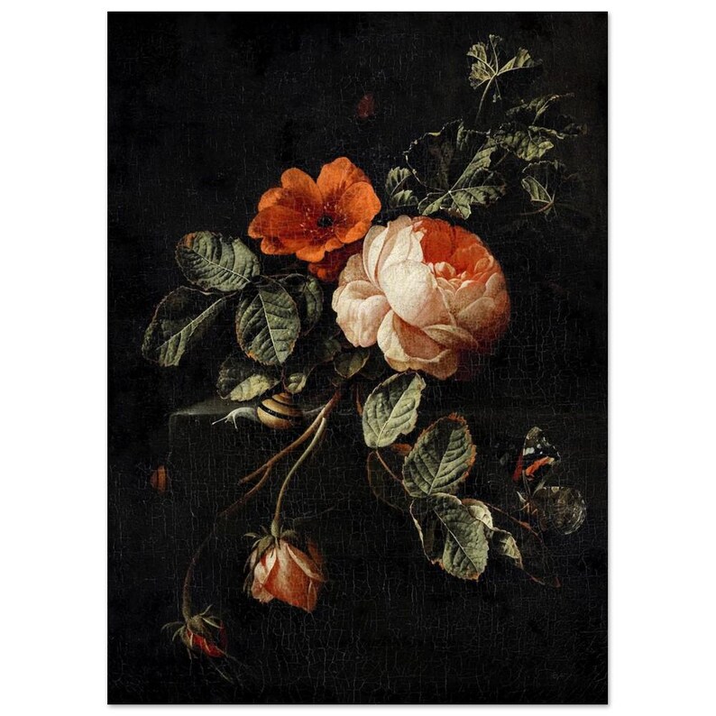 Rose Vintage Botanical Wall Print | Dark Gothic Floral Museum Poster, Classic Design Home Decor image 18
