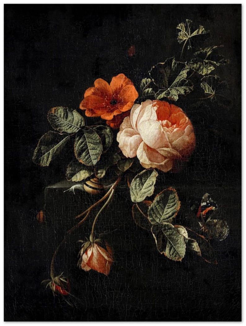Rose Vintage Botanical Wall Print | Dark Gothic Floral Museum Poster, Classic Design Home Decor 60x80 cm / 24x32”