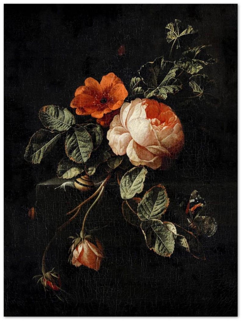 Rose Vintage Botanical Wall Print | Dark Gothic Floral Museum Poster, Classic Design Home Decor 75x100 cm / 30x40”