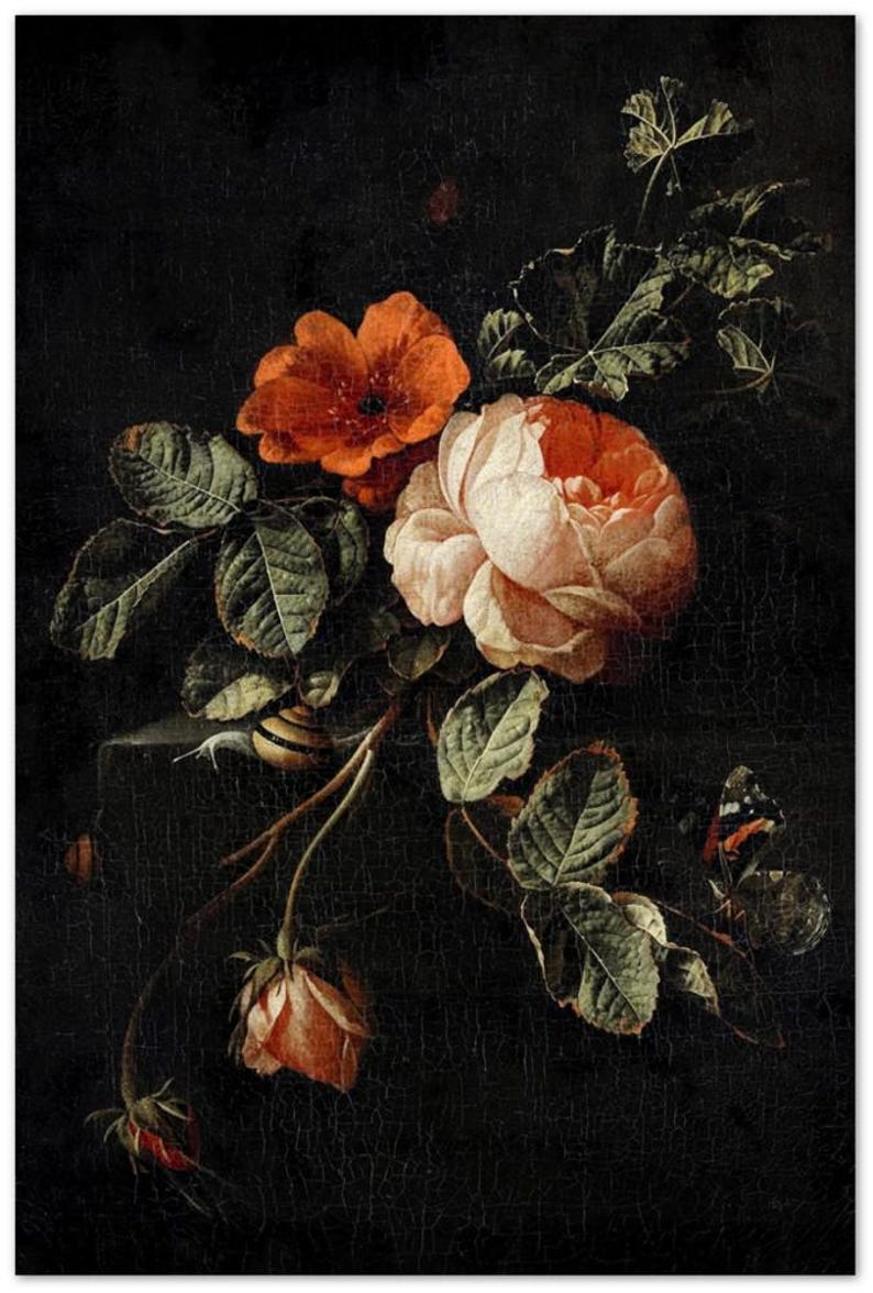 Rose Vintage Botanical Wall Print | Dark Gothic Floral Museum Poster, Classic Design Home Decor 60x90 cm / 24x36"