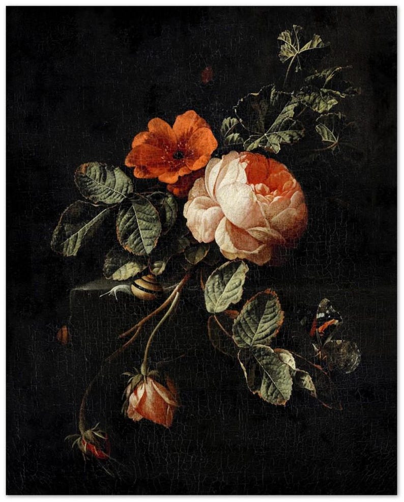 Rose Vintage Botanical Wall Print | Dark Gothic Floral Museum Poster, Classic Design Home Decor 20x25 cm / 8x10"