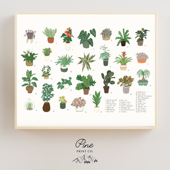 Houseplant Print, Plant Print, Plant Painting, Plant Drawing, Botanical Print, Botanical Drawing, Houseplant Poster, Plant Wall Art