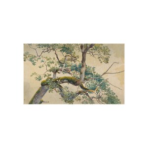 Tree Rug, Nature Rug, Area Rug, Beige Rug, Botanical Rug, Tree Painting ...