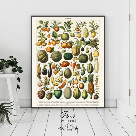 Vintage Fruit Poster, Fruit Print, Fruit Wall Art, Vintage Kitchen Art, Vintage Lithograph, Pineapple Print, Citrus Print, Fruit Decor