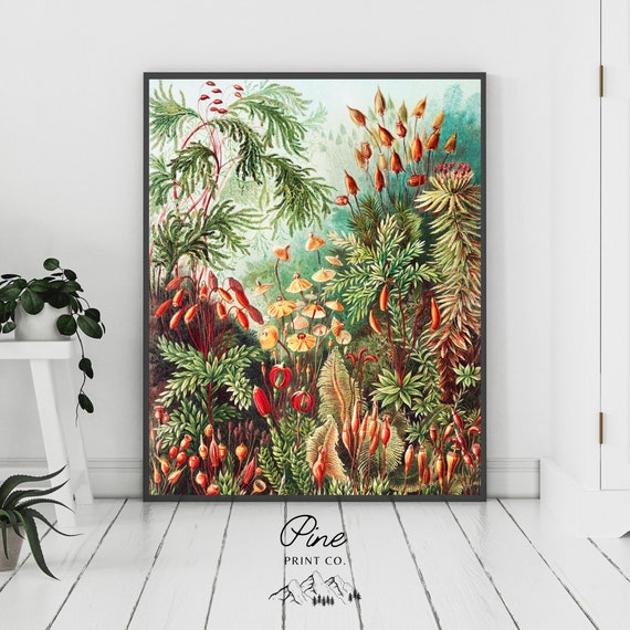 Tropical Painting, Jungle Decor, Tropical Print, Mushroom Print, Mushroom Poster, Vintage Botanical, Botanical Print, Plant Wall Art