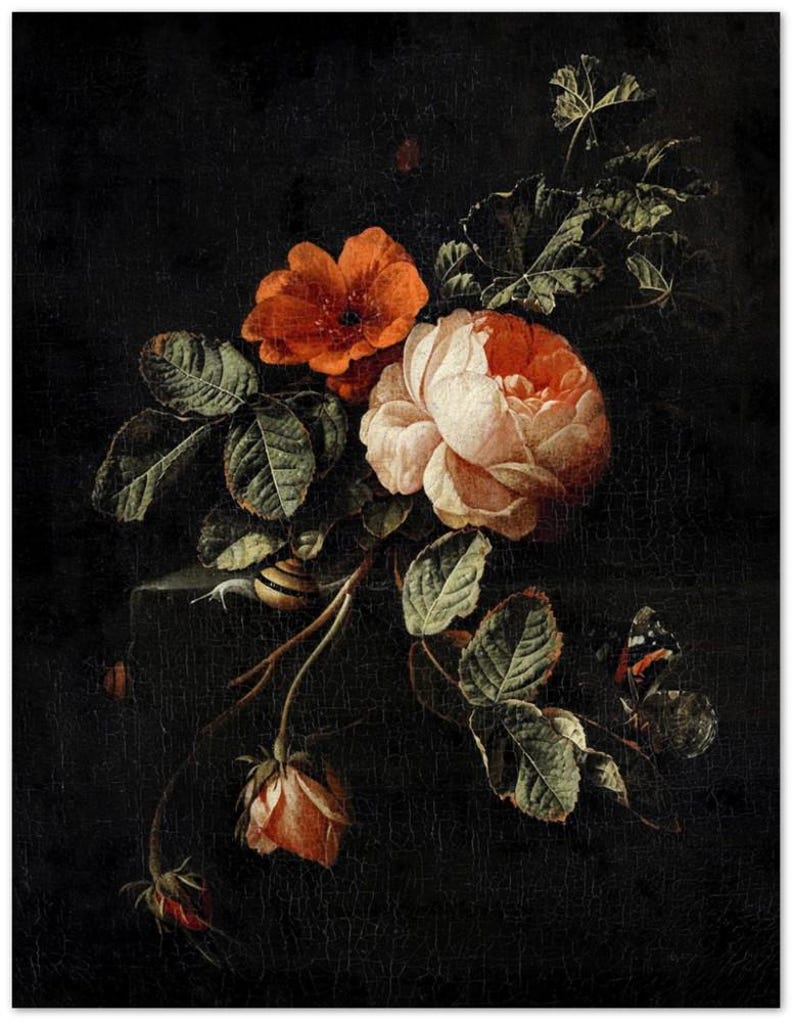 Rose Vintage Botanical Wall Print | Dark Gothic Floral Museum Poster, Classic Design Home Decor 27x35 cm / 11x14"