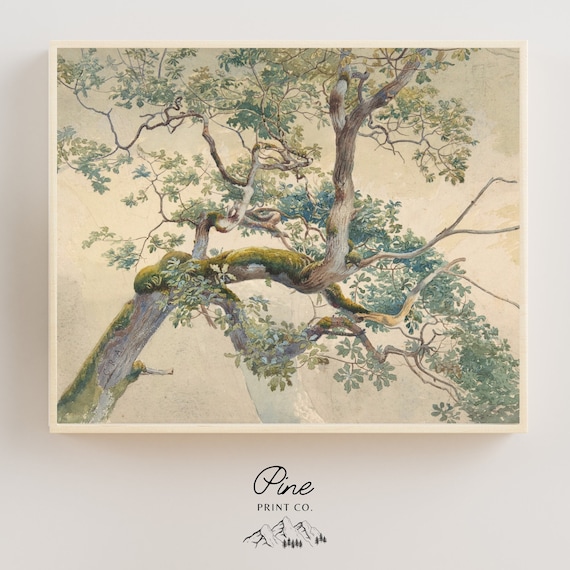 Tree Print, Tree Poster, Vintage Tree, Botanical Print, Nature Wall Art, Tree Painting, Tree Art, Vintage Botanical, Vintage Nature