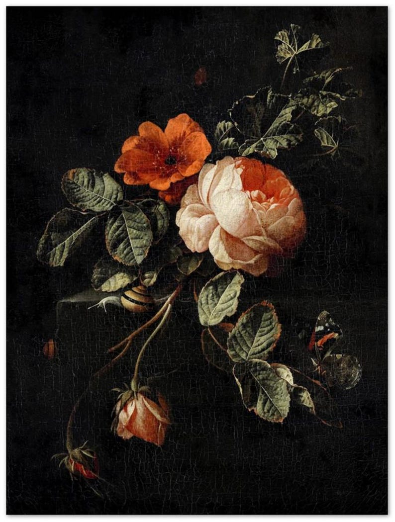 Rose Vintage Botanical Wall Print | Dark Gothic Floral Museum Poster, Classic Design Home Decor 15x20 cm / 6x8"