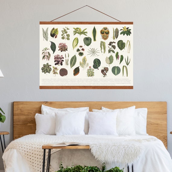 Houseplant Print, Labeled Plant Poster, Prayer Plant, Peperomia Plant, Botanical Poster, Botanical Print, Plant Print