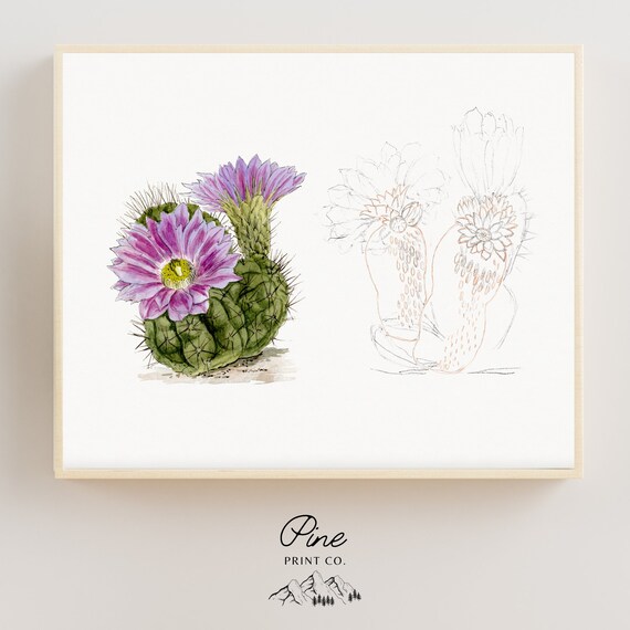 Cactus Print, Cactus Flower, Vintage Botanical, Purple Wall Art, Cactus Sketch, Botanical Sketch, Desert Decor, Desert Plant, Purple Art