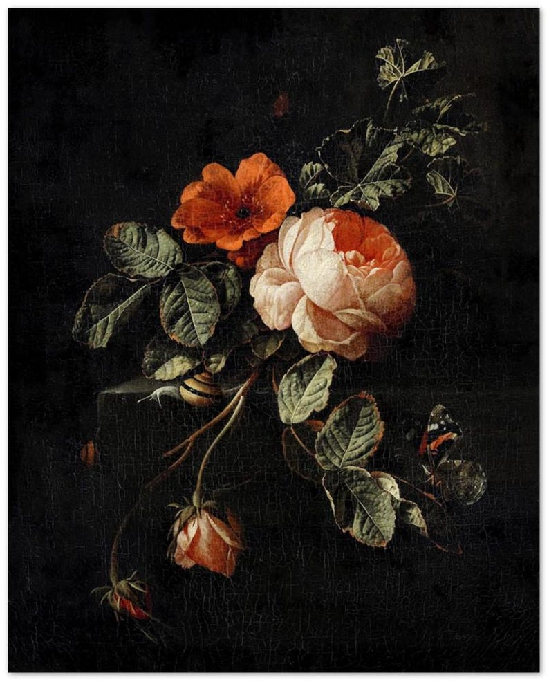 Rose Vintage Botanical Wall Print | Dark Gothic Floral Museum Poster, Classic Design Home Decor 40x50 cm / 16x20”