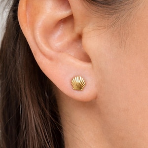 Orecchini a bottone a conchiglia in acciaio inossidabile (oro o argento) • Orecchini minimalisti in stile nautico e boho • Regalo per donna