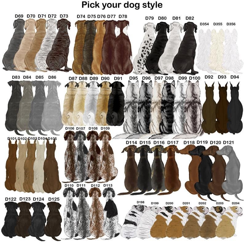 Pu&ograve; includere: Un grafico con 40 razze di cani diverse, ciascuna illustrata in posizione seduta. I cani sono disposti in righe e colonne, con ogni cane etichettato con un numero. Il grafico &egrave; intitolato "Scegli il tuo stile di cane".
