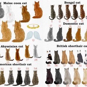 May include: A chart with illustrations of 47 different cat breeds. The breeds are labeled with their names and numbers. The cats are all facing away from the viewer and are sitting in a row.