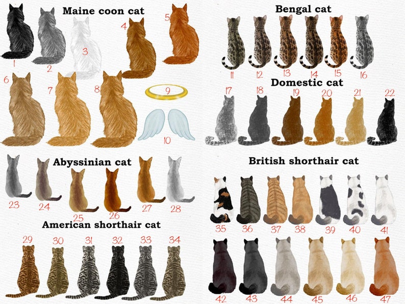 May include: A chart with illustrations of 47 different cat breeds. The breeds are labeled with their names and numbers. The cats are all facing away from the viewer and are sitting in a row.