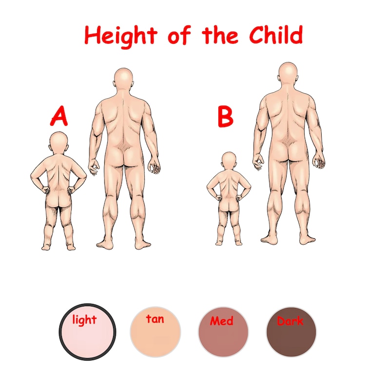 May include: Illustration showing height comparison of a child and adult, labeled A and B. Text at the top reads "Height of the Child." Below are color swatches labeled "light," "tan," "Med," and "Dark."