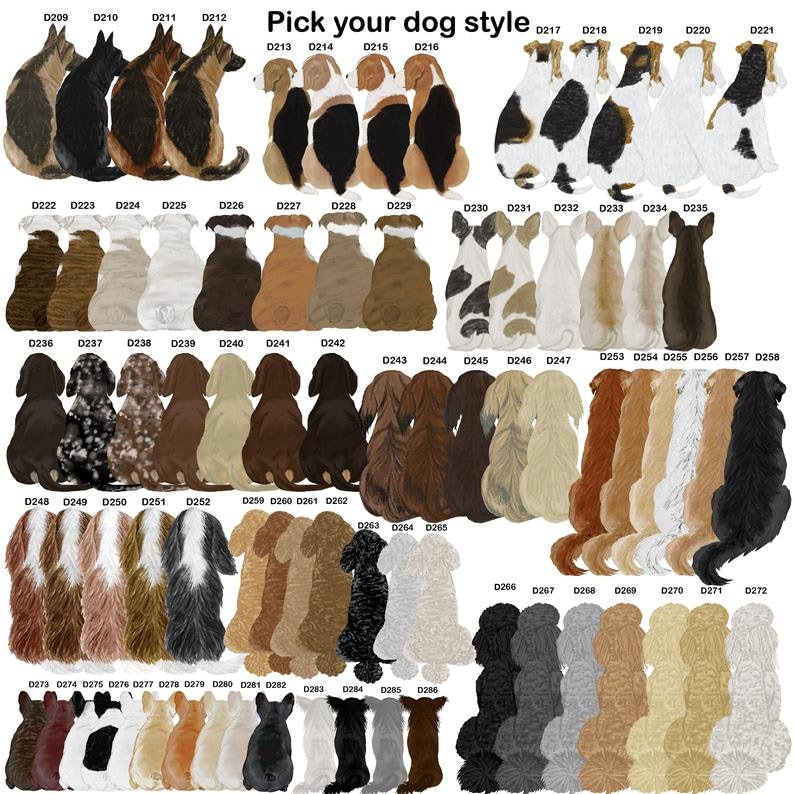 Pu&ograve; includere: Un grafico con 36 razze di cani diverse, ciascuna illustrata in stile cartone animato. I cani sono tutti seduti e guardano in avanti. Il grafico &egrave; etichettato "Scegli il tuo stile di cane" e ogni cane &egrave; numerato.