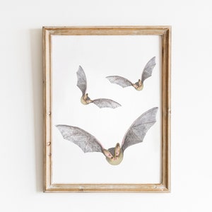 Cute Spooky Bats - digital download, printable art, animal print, halloween wall art, holiday decor